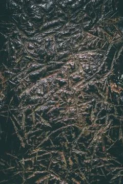 Structured metal surface, with relief, black and brown color. Grunge Stock Photos