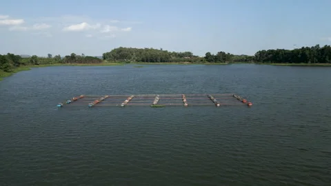 Structures made from homemade materials to hold fishing nets in tri an lake Stock Footage 278766827