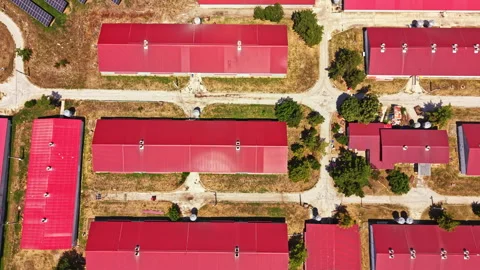 Structures on a pig farm with red roofs and dirt paths for animal care and Stock Footage 341386934