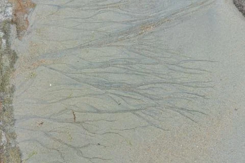 Structures visisble at low tide Foto stock