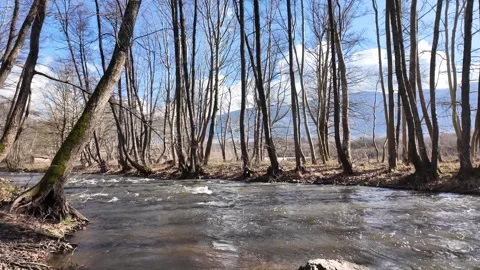 Strumeshnitsa river passing through the Petrich valley, Bulgaria Stock Footage 274125740