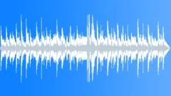 Strumming back home (20 sec) Stock Music