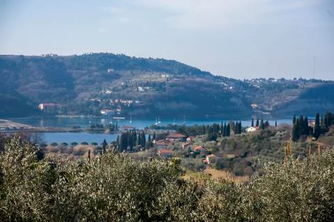 Strunjan road Stock Photos