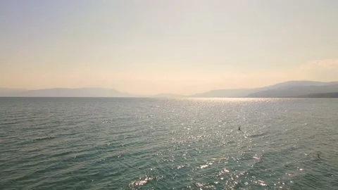 Strymon Backwards Stock Footage 138003216