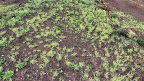 Stuart Highway Lubra's Lookout between Tennant Creek and Mataranka 스톡 동영상 304546509