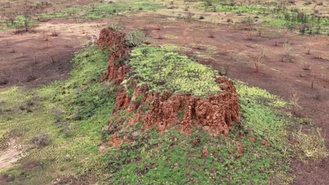 Stuart Highway Lubra's Lookout between Tennant Creek and Mataranka 스톡 동영상 304547080
