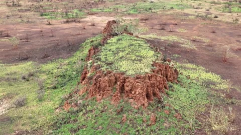Stuart Highway Lubra's Lookout between Tennant Creek and Mataranka 스톡 동영상 304547225