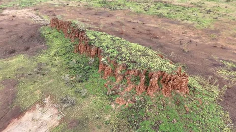 Stuart Highway Lubra's Lookout between Tennant Creek and Mataranka Video stock 304550348