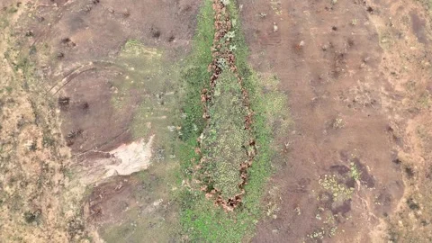 Stuart Highway Lubra's Lookout between Tennant Creek and Mataranka Video stock 304551614