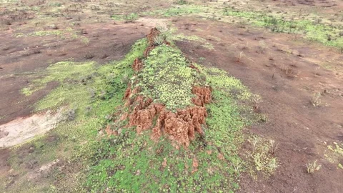 Stuart Highway Lubra's Lookout between Tennant Creek and Mataranka Video stock 304551625
