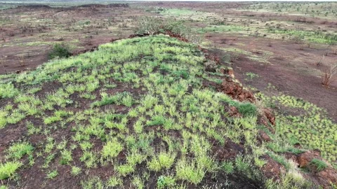 Stuart Highway Lubra's Lookout between Tennant Creek and Mataranka Video stock 304552339