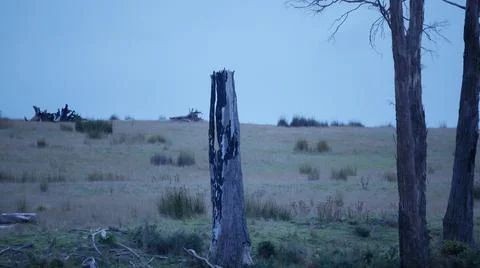 Stub in the outback Fotos de archivo