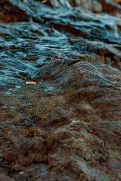 Stub on stone Stock Photos