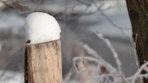 Stub in winter forest Video stock 1068357