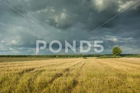 Stubble and dark clouds in the sky Stock Photos