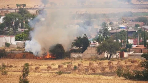 Stubble burning field fire near houses Stock Footage 148180629