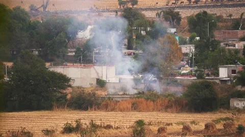 Stubble burning field fire near houses Stock Footage 148180773