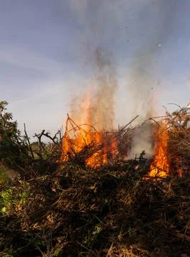 Stubble burning Stock Photos