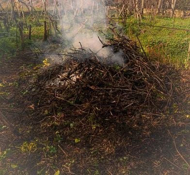 Stubble burning Stock Photos