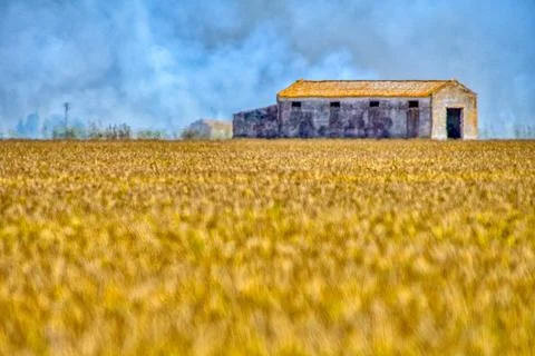 Stubble burning in the rice fields, Isla Mayor, Seville, Spain Stock Photos