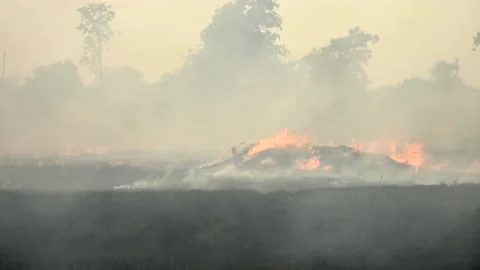 Stubble Burning videography Stock Footage 137884653