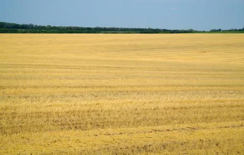 Stubble field with panoramic view Stock Photos