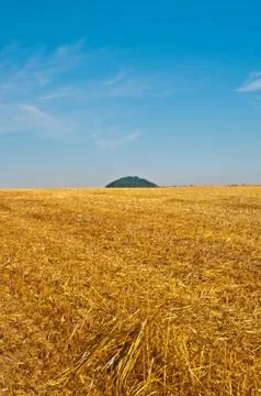 Stubble field Stock Photos
