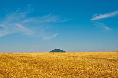 Stubble field Stock Photos