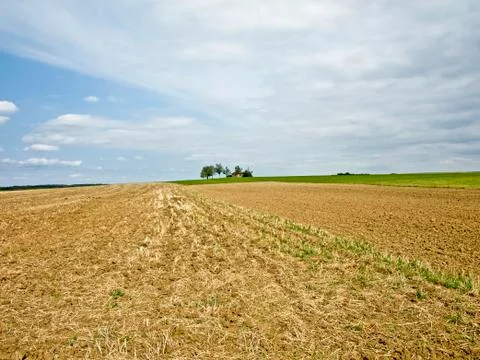 Stubble field Stock Photos