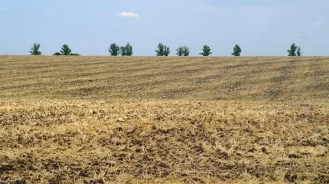 Stubble field Stock Photos