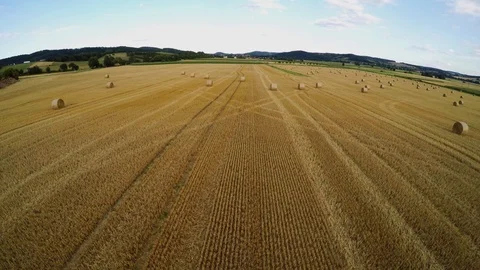 Stubble field with straw bale after harvest Stock Footage 113601091