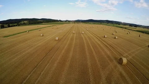 Stubble field with straw bale after harvest Stock Footage 113604176