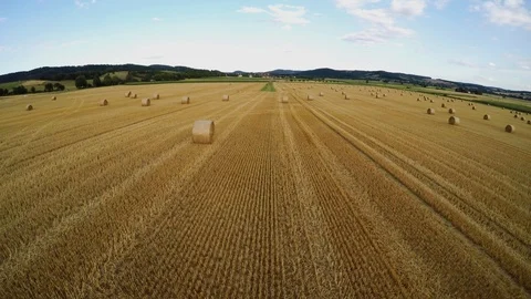 Stubble field with straw bale after harvest Stock Footage 113604229