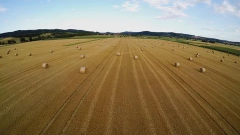 Stubble field with straw bale after harvest Stock Footage 113604445