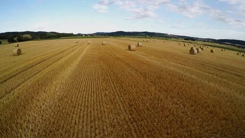 Stubble field with straw bale after harvest Stock Footage 113604528