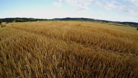Stubble field with straw bale after harvest Stock Footage 113604826