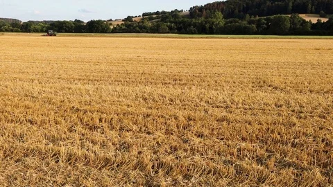 Stubble field with straw bale after harvest Stock Footage 114006012