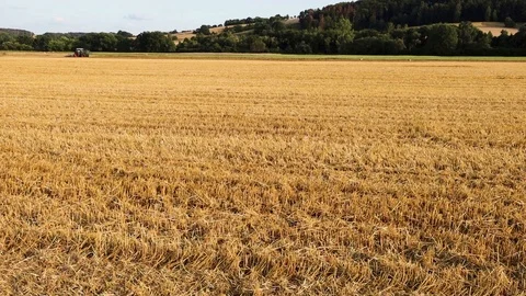 Stubble field with straw bale after harvest Stock Footage 114006525