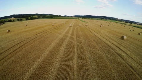 Stubble field with straw bale after harvest Stock Footage 145420283