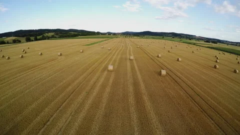 Stubble field with straw bale after harvest Stock Footage 145426277