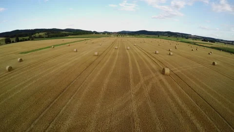 Stubble field with straw bale after harvest Stock Footage 145430634