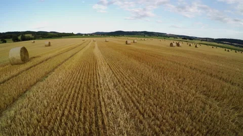 Stubble field with straw bale after harvest Stock Footage 145434316