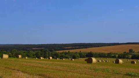 Stubble Field With Straw Bales Stock Footage 73921021