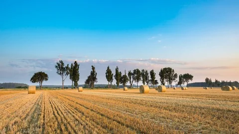 Stubble field with straw bales under sunset sky. 4k timelapse Stock Footage 78717371