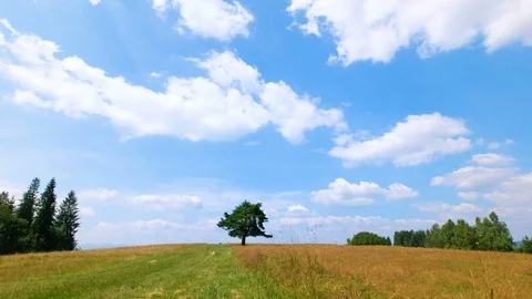 Stubble field with straw bales under blue sky with cirrus clouds. 4k 動画素材 93348947