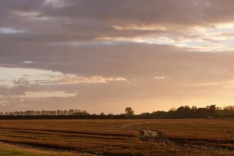 Stubble field at sunset Stock Photos