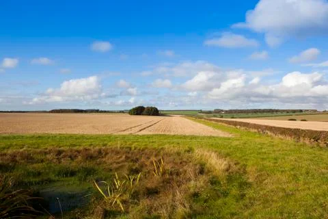 Stubble fields and dew pond Stock Photos
