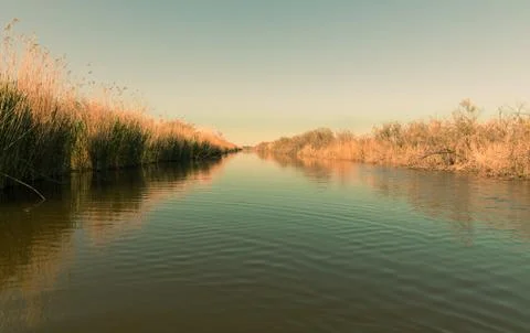 Stubble fields by the river in Evros Delta, Greece Stock Photos