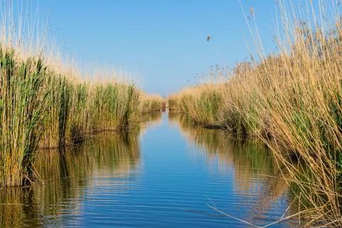 Stubble fields by the river in Evros Delta, Greece Stock Photos