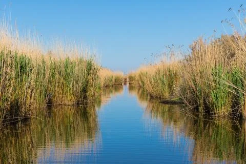 Stubble fields by the river in Evros Delta, Greece Stock Photos